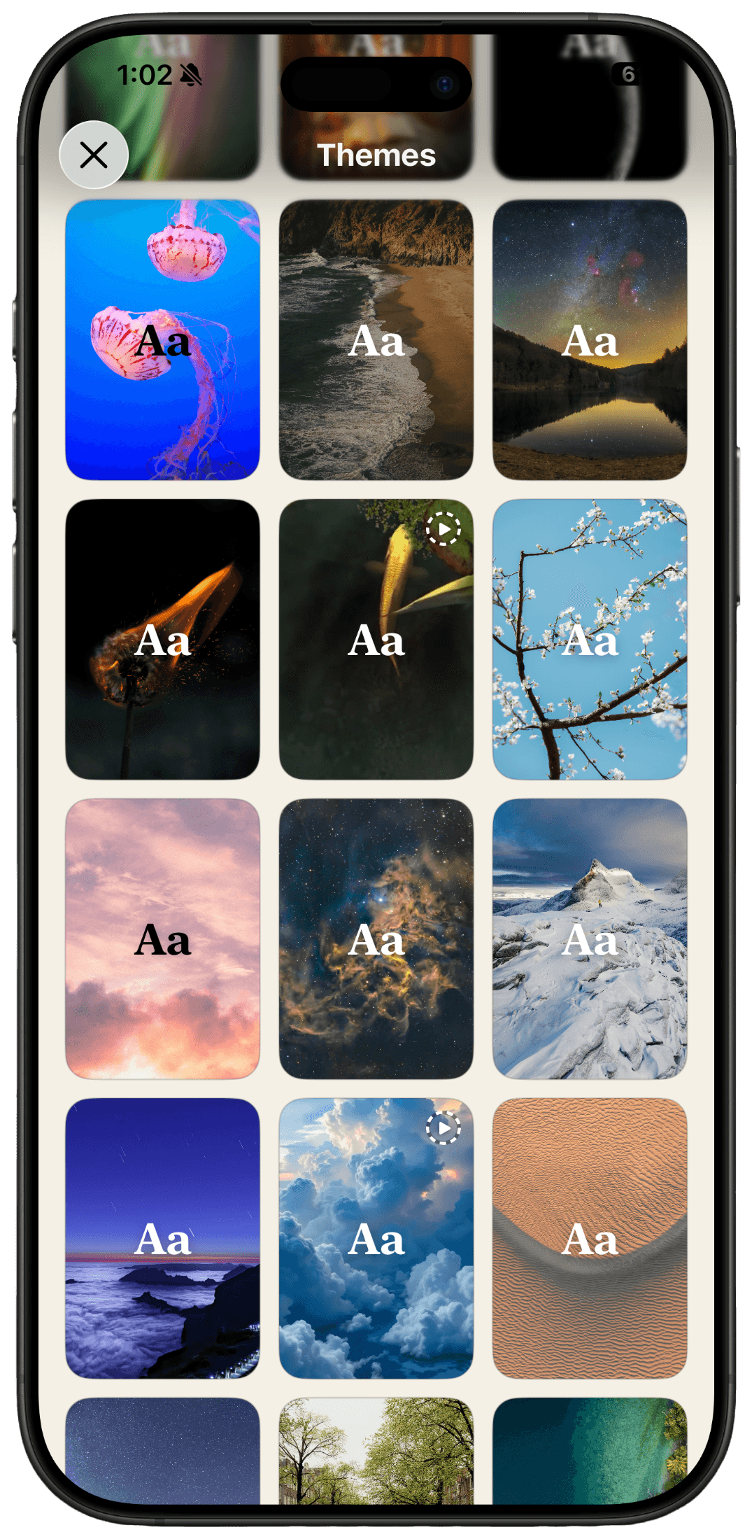Themes — customize the look of your word cards